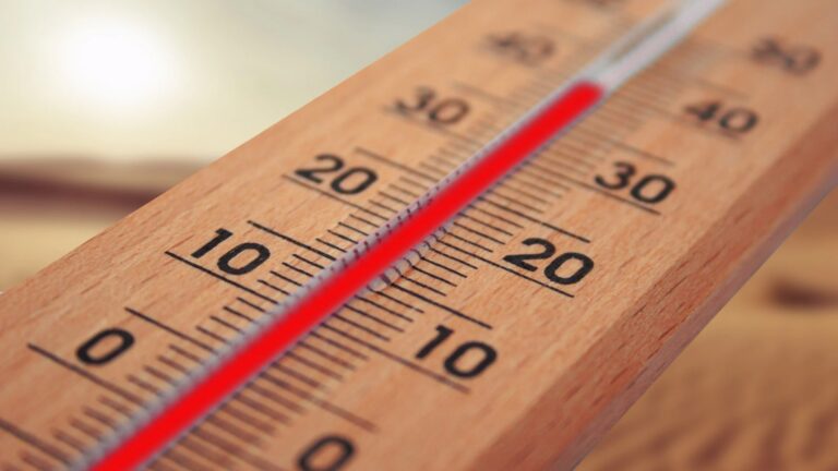 Weather Fundamentals: A Guide to Temperature, Dew Point, Wind Chill, and Heat Index