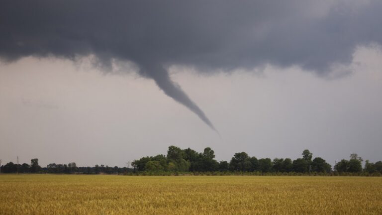 Tornadoes 101: A Comprehensive Guide