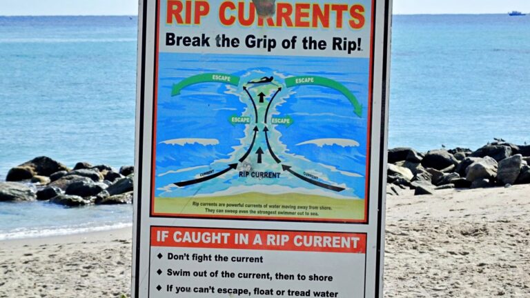 Rip Currents vs Rip Tides: Is There A Difference?