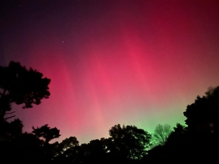 Chasing the Northern Lights