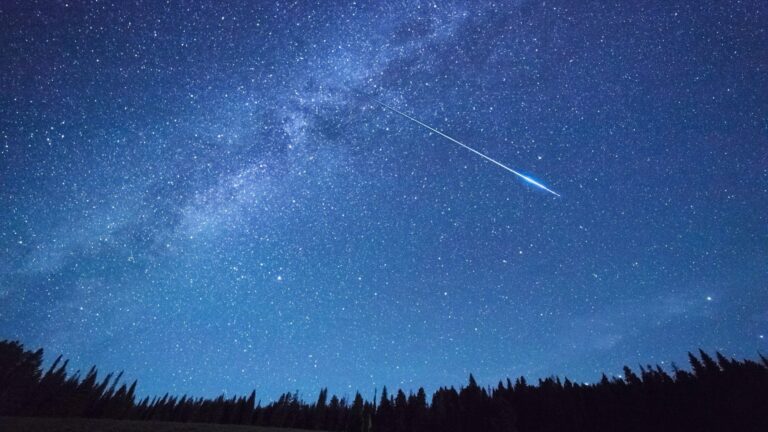 Mark Your Calendar: The 2024 Orionid Meteor Shower Peaks October 20 & 21