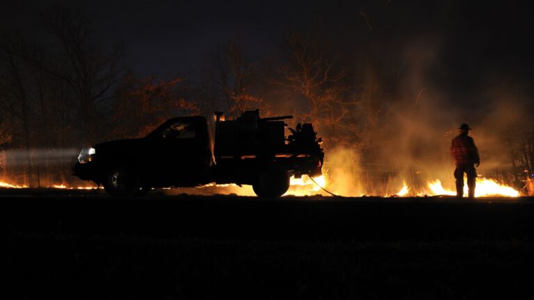 firefighter works to put out wildfire
